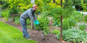 deep root watering