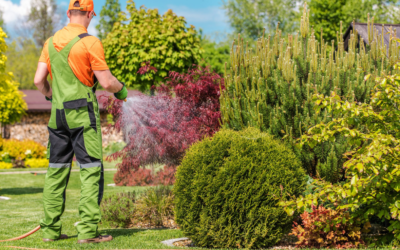 Summer Tips for Tree and Shrub Care