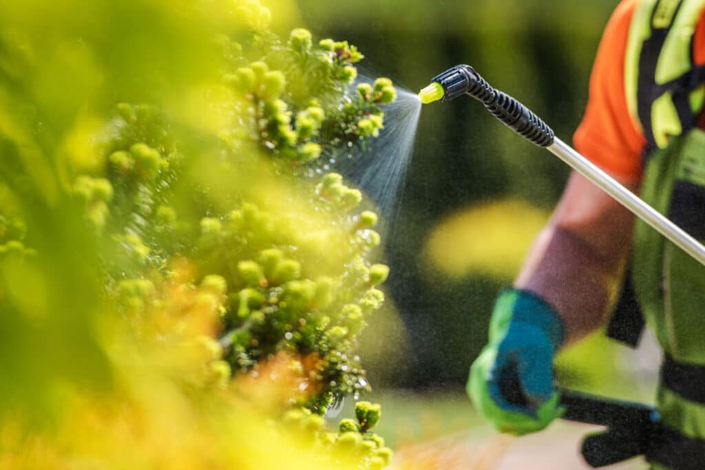 plant health for pest management and disease control arborist