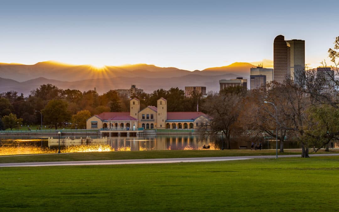 End of Summer Tree Care: Preparing Your Trees for Fall