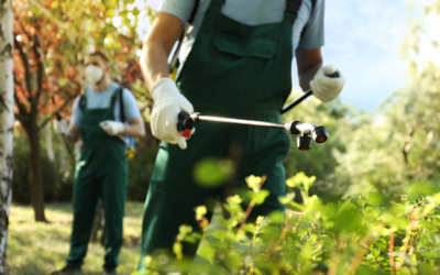 A Guide to Integrated Pest Management (IPM)