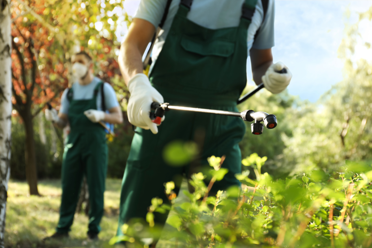 ipm - pest management ipm integrated pest management tree spraying disease control