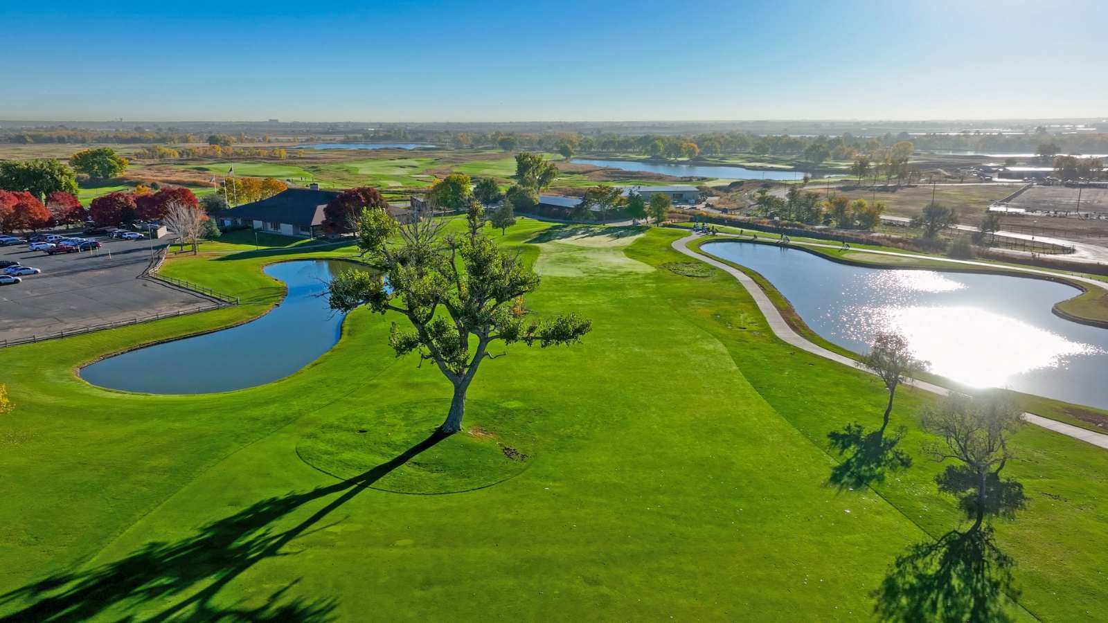 thornton colorado trees arborist