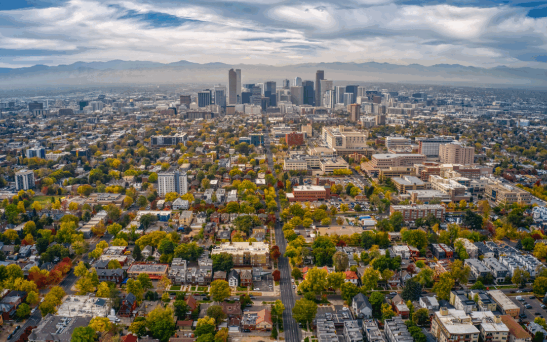 Summer in the City: Keeping Your Trees Thriving Through the Heat