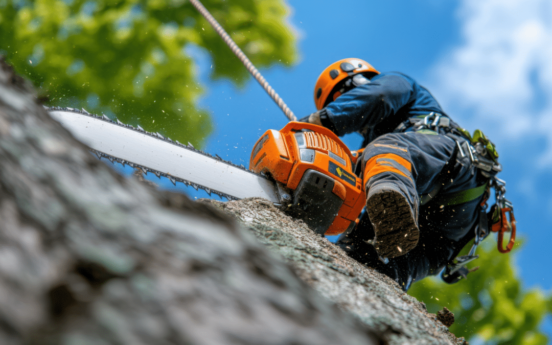 When to Say Goodbye: A Homeowner’s Guide to Tree Removal in Denver